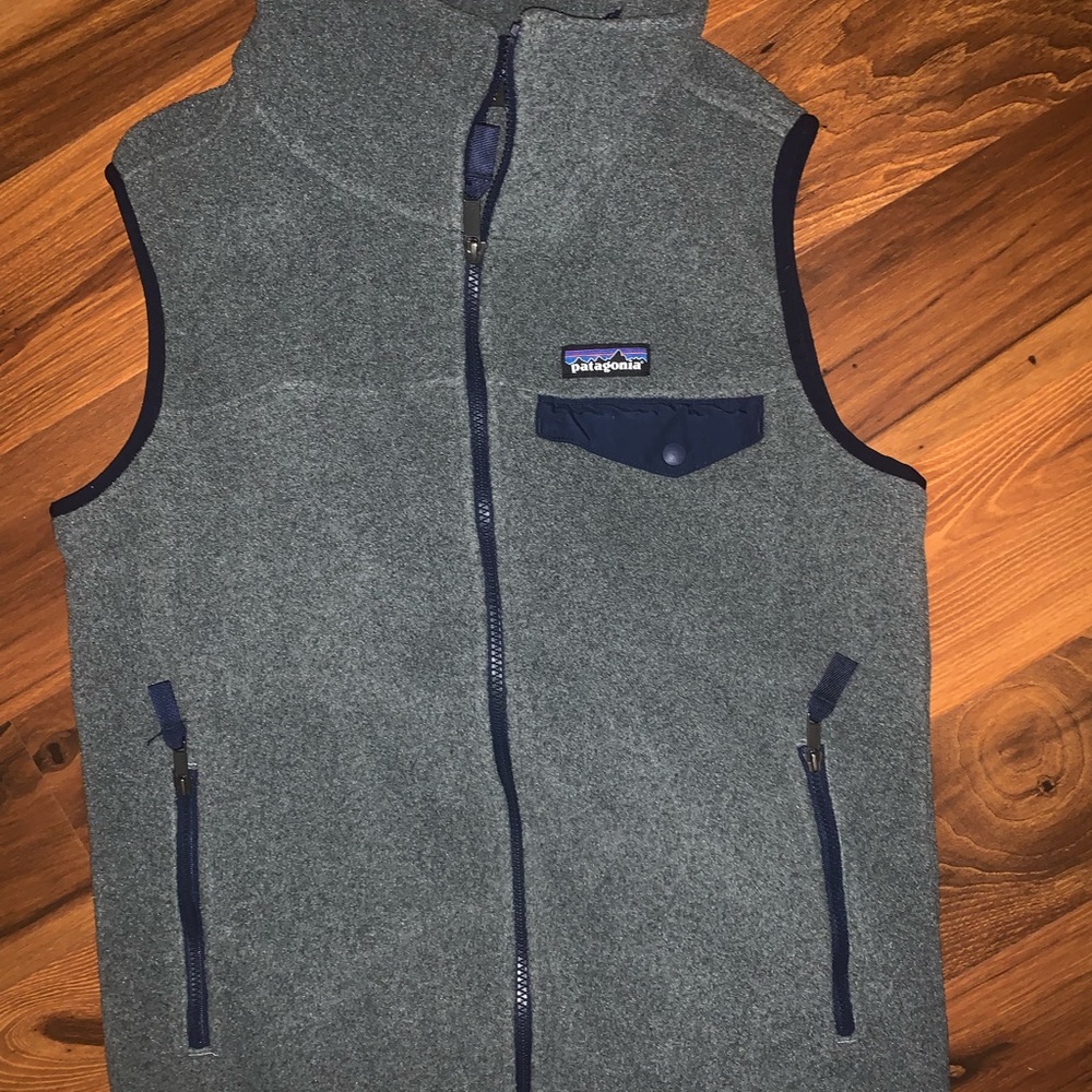 Patagonia Gray Synchilla Vest
